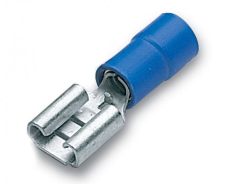 TERMINAL PLANA HEMBRA FORRO AZUL MEDIANA